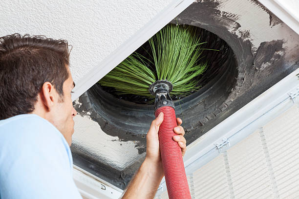 Best HVAC Air Duct Cleaning  in Rogersville, AL